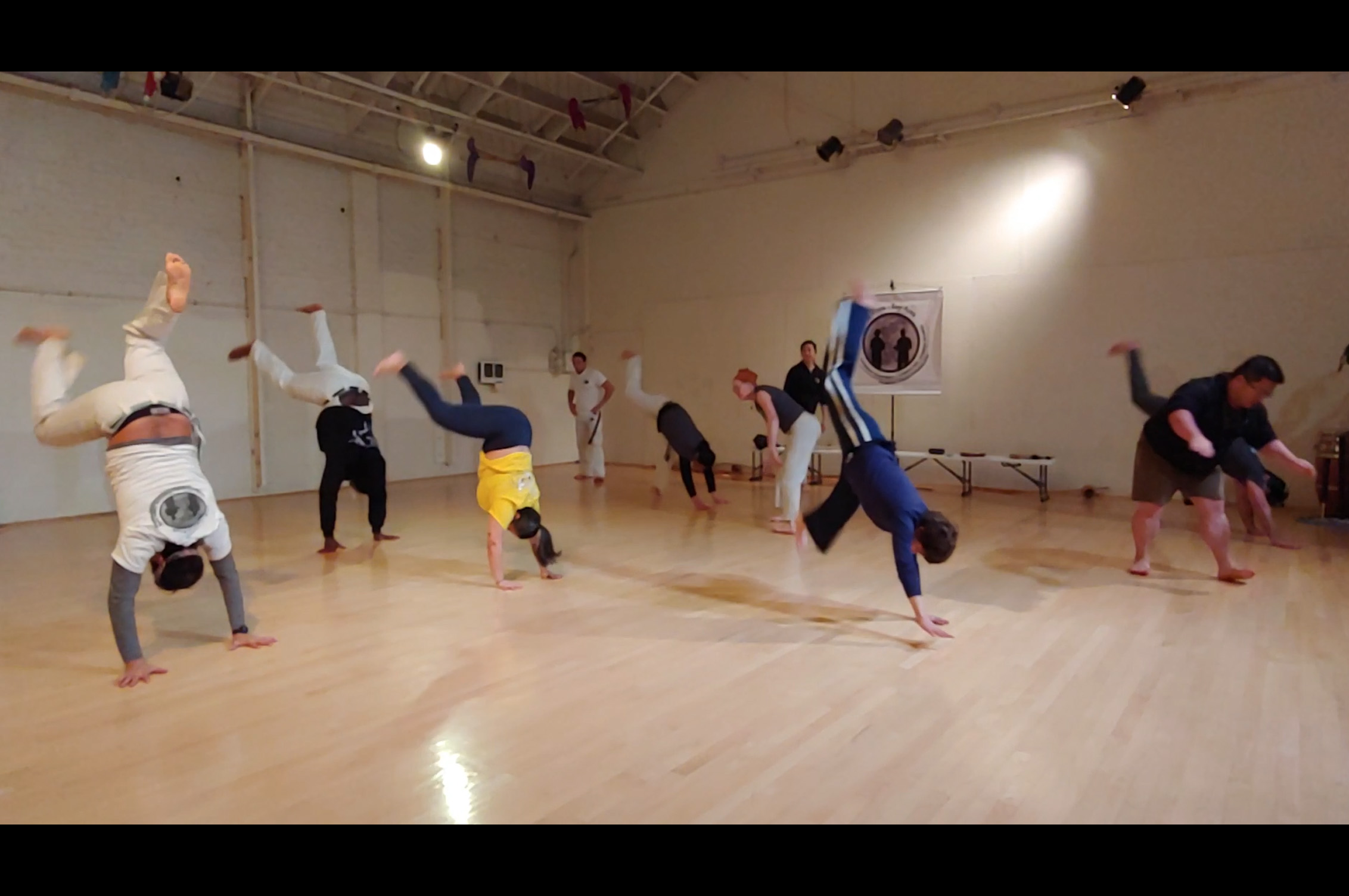 Wildcat Studio class