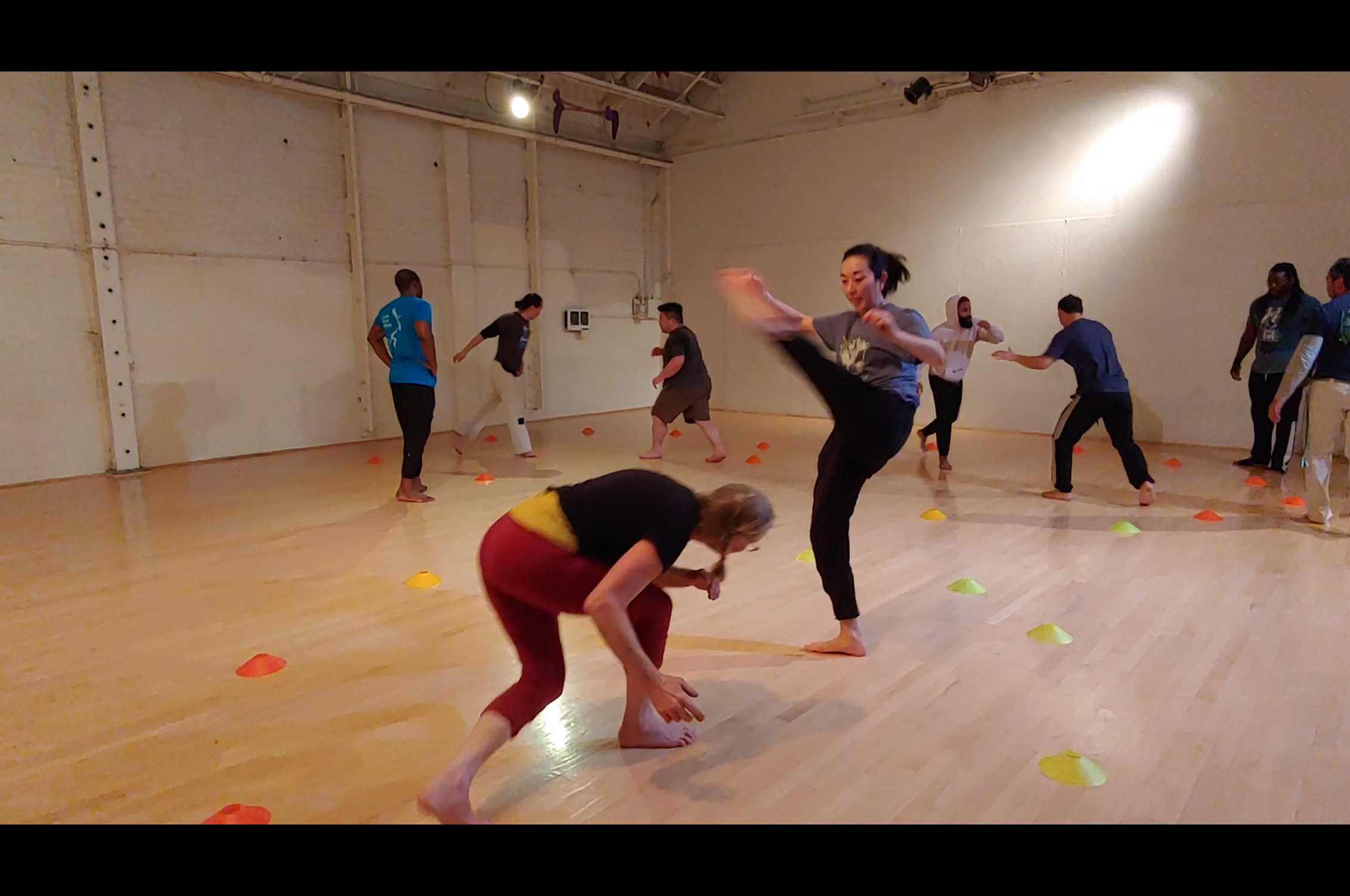 Wildcat Studio class
